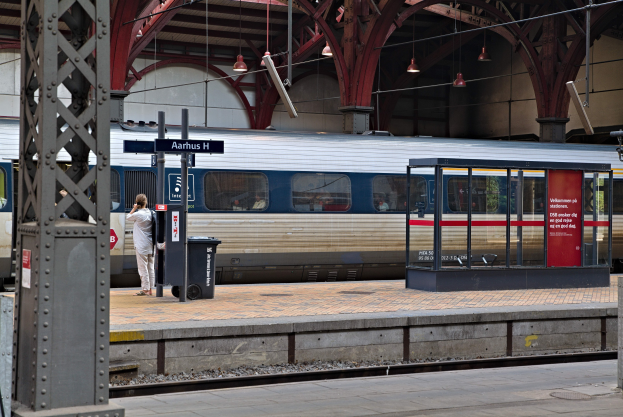Ein Zug fährt auf einem Bahnsteig ein, auf dem eine Person steht, mit einem Müllcontainer, Pfölen, Informationsanzeigen und Deckenleuchten.