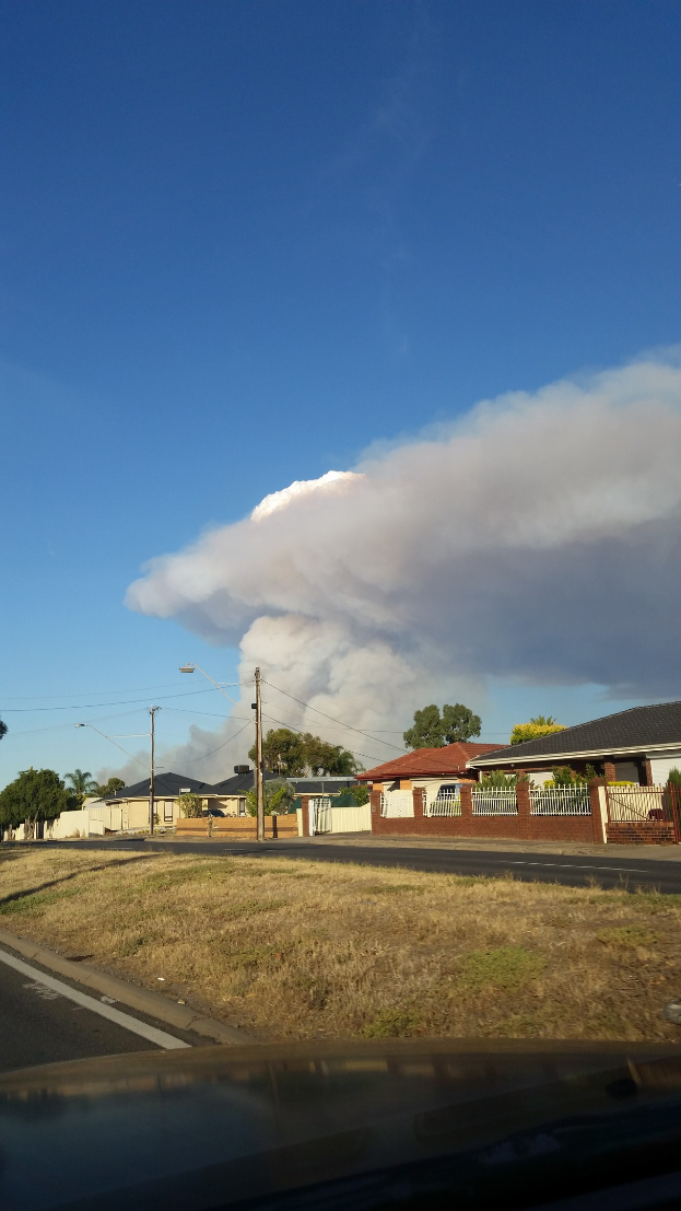 Ein Auto fährt eine Straße entlang und gibt eine große Rauchwolke ab, umgeben von Gras, Häusern, Bäumen, Pfählen und Straßenlaternen.