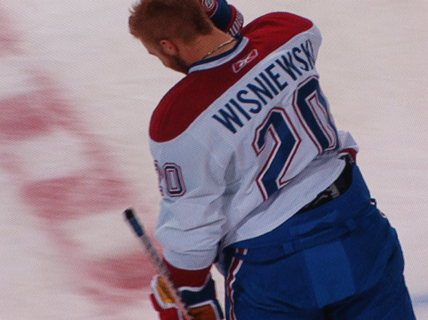 Professioneller Eishockeyspieler in einem "Wisniewski"-Trikot, der auf dem Eis einen Hockey-Schläger hält und konzentriert schaut.