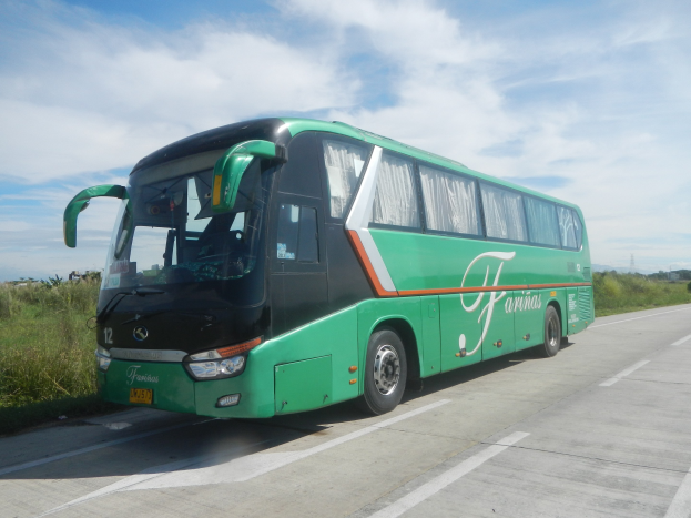 Grüne Busfahrt auf einer Straße mit grünem Gras und Pflanzen unter einem hellblauen Himmel mit weißen Wolken.