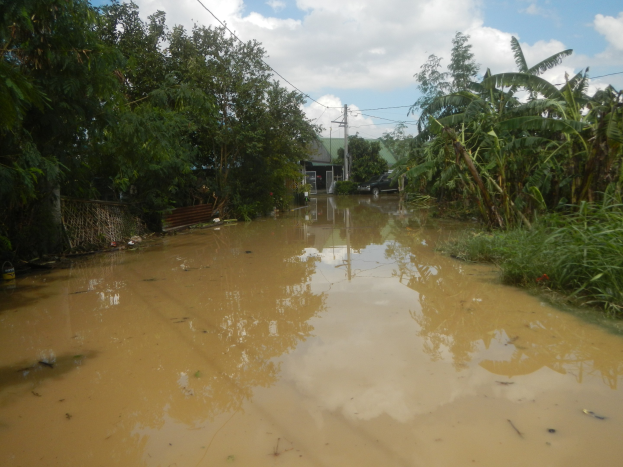 Flutstra├če in ländlicher Gegend mit Wasser auf der Straße, Pflanzen und Bäumen auf beiden Seiten, einem geparkten Auto auf der rechten Seite und beschädigten Häusern, Polen und Drähten im Hintergrund unter einem bewölkten Himmel.