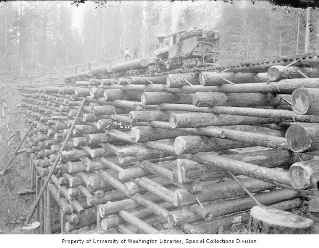 Schwarzes und weißes Foto eines Holztransporters neben einem Holzstapel in einem bewaldeten Gebiet mit Menschen auf den Holzstapeln und Bäumen im Hintergrund.