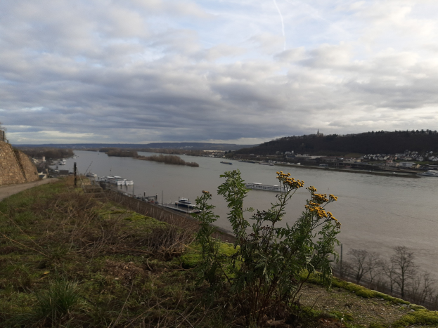 Rheinland-Polizei warnt vor Pfingstwochenende: Schwimmen in der Rhine bleibt lebensgefährlich