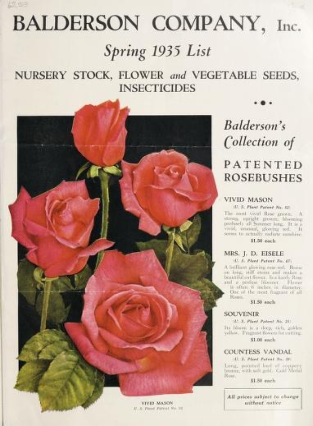 Katalog der Baldwin Company, Inc. Frühling 1935 mit pinken Rosen und Blattwerk auf dem Cover.
