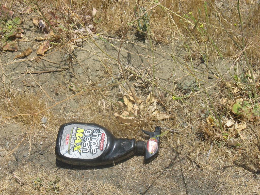 Pflanzen, getrocknetes Gras, Erde und eine Flasche auf dem Boden mit Text.