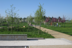 Ein parkartiger Weg, gesäumt von Bäumen und Bänken, auf dem Menschen Fahrräder fahren, mit Gebäuden und einem klaren blauen Himmel im Hintergrund und saftig grünem Gras, das den Boden bedeckt.