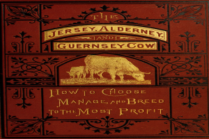 Ein Buch mit dem Titel 'Die Jersey-, Alderney- und Guernsey-Kuh: Wie man wählt, verwaltet und züchtet, um den größten Gewinn zu erzielen' mit einem Kuhbild auf dem Cover.