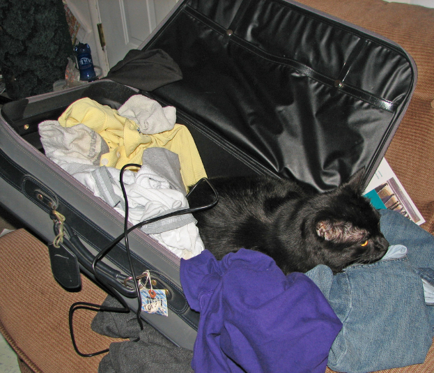 Ein Koffer auf einem Sofa mit Kleidung, einer Katze und einem Kabel, mit einer Karte an der Rückseite.