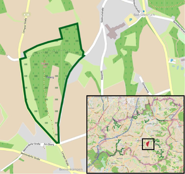 Stadtplan mit einer zentralen grünen Fläche, die für die geplante Entwicklung markiert ist, umgeben von Straßen, Gebäuden und Sehenswürdigkeiten.