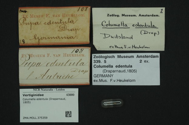 Eine Sammlung alter Visitenkarten mit Text über Columella edentula, eine Art Medizin, und ein kleines Stück Papier mit einem Barcode.