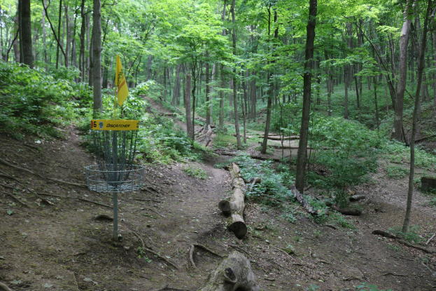 Disc-Golf-Korb und gelbes Schildtafel in einem bewaldeten Kurs mit verstreuten Holzstücken und Grün.