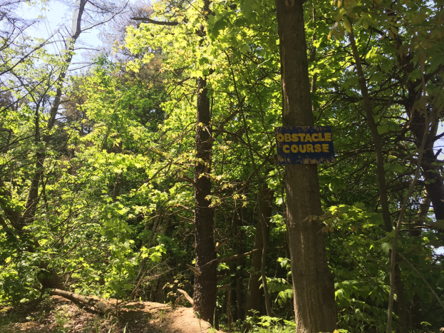 Wanderweg im Wald, der von einem "Hindernisparcours"-Schild markiert ist, mit Bäumen auf beiden Seiten und Himmel im Hintergrund.