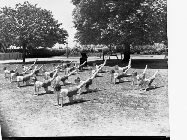 Schwarz-weiß-Foto einer Gruppe von Menschen, die Yoga in einem Park umgeben von Bäumen und Pflanzen praktizieren.